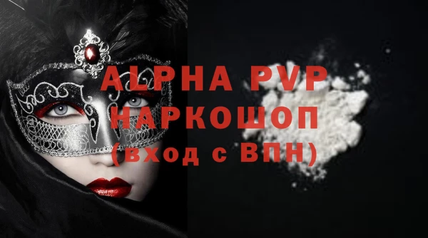 индика Щигры