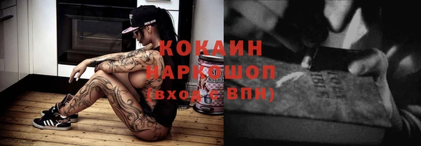 индика Щигры