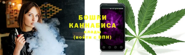 индика Щигры