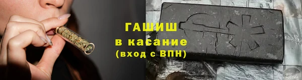 индика Щигры