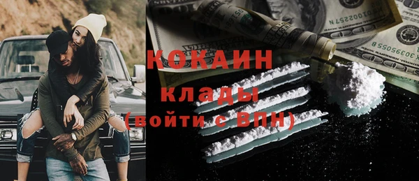 индика Щучье