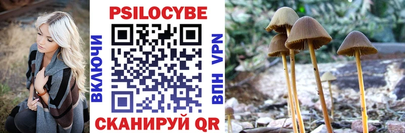 Псилоцибиновые грибы GOLDEN TEACHER  Купить где  Орлов 